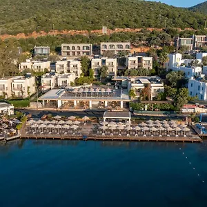  Hotel Trendlife Torba